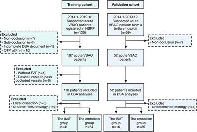 A Pre-Interventional Scale to Predict in situ Atherosclerotic Thrombosis in Acute Vertebrobasilar Artery Occlusion Patients